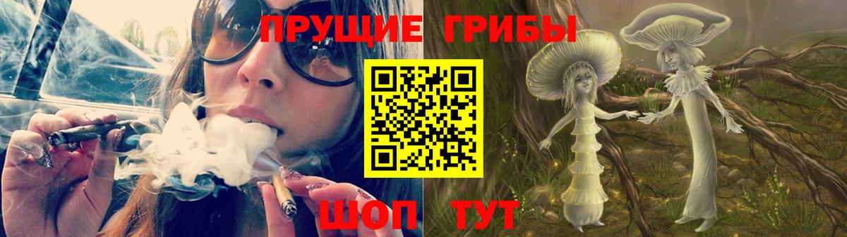 Псилоцибиновые грибы Cubensis  Галлюциногенные грибы прущие грибы  Наро-Фоминск  Вход с VPN 